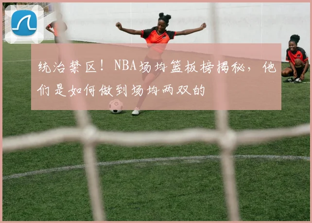 统治禁区!NBA场均篮板榜揭秘,他们是如何做到场均两双的